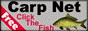 Carp Net