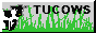 Tucows
